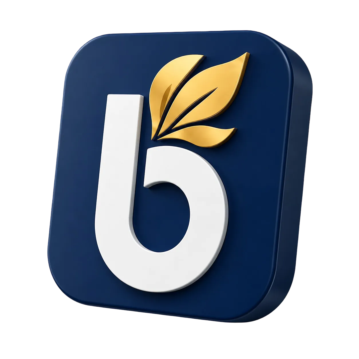 Logo 3D BinaHub